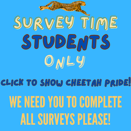  Student Survey